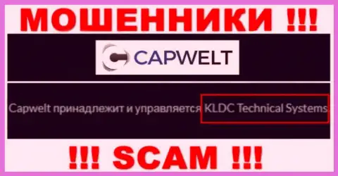 Юридическое лицо организации CapWelt - это КЛДЦ Техникал Системс, информация позаимствована с официального информационного сервиса