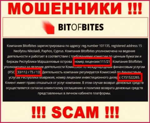 Лицензия, которую мошенники БитОфБитес Ком предоставили на своем информационном портале