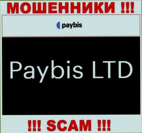 Paybis LTD руководит компанией PayBis - это АФЕРИСТЫ !!!