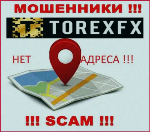 Torex FX не представили свое местонахождение, на их веб-портале нет сведений об юридическом адресе регистрации