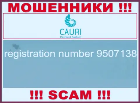 Регистрационный номер, принадлежащий противозаконно действующей организации Каури Ком: 9507138