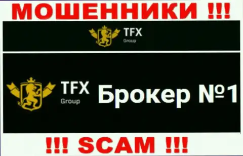 Не доверяйте депозиты TFX Group, так как их направление деятельности, Форекс, обман