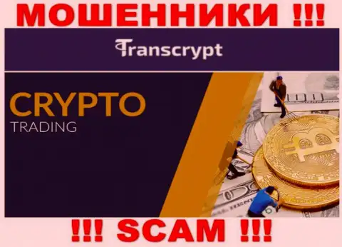 TransCrypt Eu это мошенники !!! Род деятельности которых - Крипто торговля