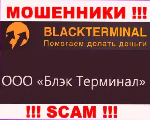 На официальном веб-сервисе BlackTerminal Ru написано, что юридическое лицо конторы - ООО Блэк Терминал