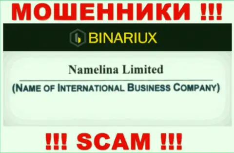 Бинариукс - это мошенники, а владеет ими Namelina Limited