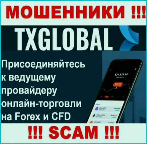 В глобальной сети internet действуют мошенники ТХГлобал Ком, тип деятельности которых - Forex