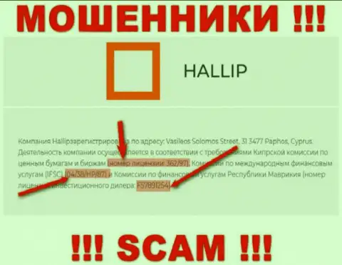 Не связывайтесь с мошенниками Hallip Com - существованием номера лицензии на осуществление деятельности, на интернет-ресурсе, завлекают лохов