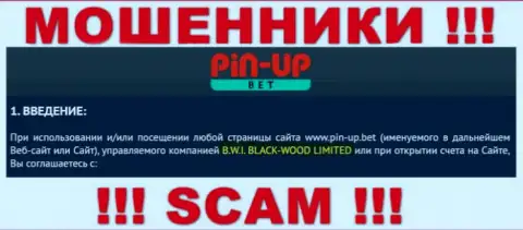 Юр лицо организации Pin-Up Bet - это Б.В.И. БЛЕК-ВУД ЛТД, инфа взята с официального информационного портала