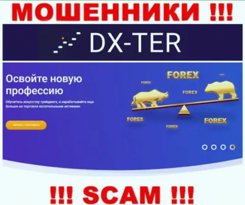 С DX-Ter Com совместно сотрудничать довольно-таки опасно, их тип деятельности Форекс - ловушка