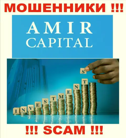 Не переводите средства в Амир Капитал, тип деятельности которых - Инвестиции