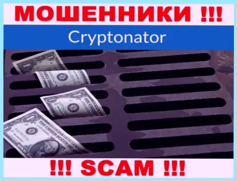 Мошенники Cryptonator Com не дадут Вам вернуть ни копеечки. БУДЬТЕ ПРЕДЕЛЬНО ОСТОРОЖНЫ !!!