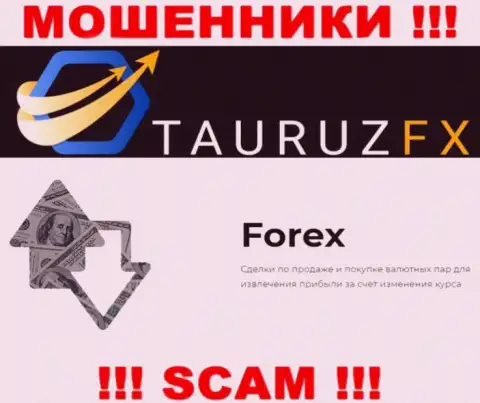 FOREX - это то, чем занимаются интернет мошенники ТаурузФХ