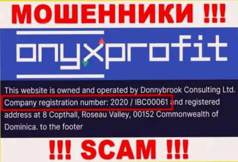 Рег. номер, который принадлежит конторе Onyx Profit - 2020 / IBC00061