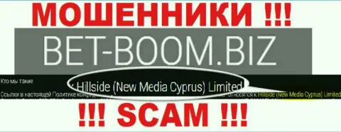 Юридическим лицом, владеющим интернет мошенниками BetBoom Biz, является Hillside (New Media Cyprus) Limited