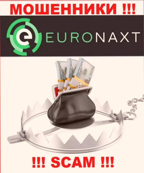 Не вводите ни копеечки дополнительно в организацию EuroNax - украдут все подчистую
