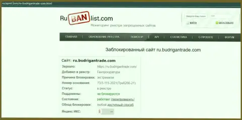 Информационный сервис BudriganTrade Сom в России был заблокирован Генеральной прокуратурой