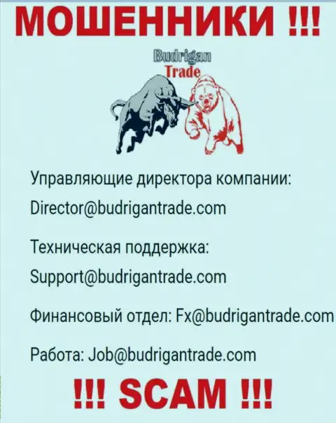 Не пишите на адрес электронной почты Budrigan Trade - это мошенники, которые отжимают вложения наивных людей