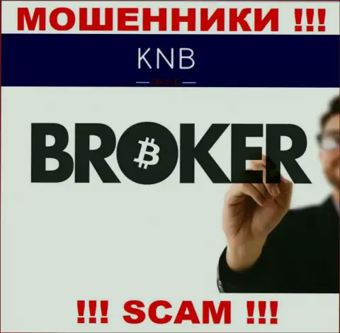Брокер - именно в данном направлении предоставляют свои услуги мошенники KNB Group