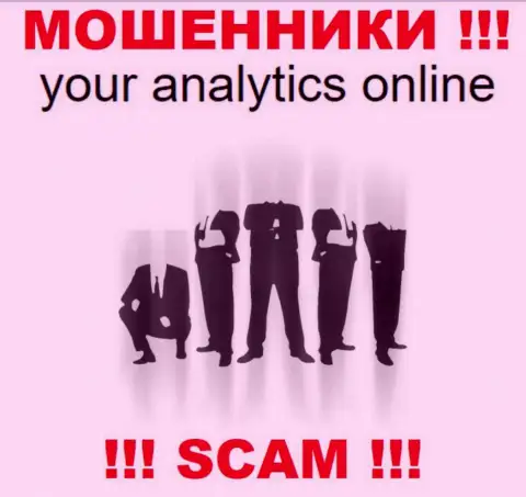 Your Analytics Online являются мошенниками, в связи с чем скрыли сведения о своем прямом руководстве