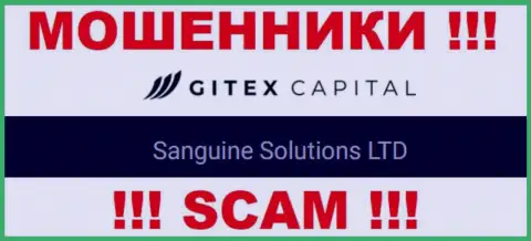 Юридическое лицо GitexCapital - это Сангин Солютионс ЛТД, такую инфу разместили мошенники на своем онлайн-ресурсе