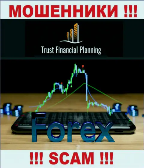 Форекс - конкретно в этой сфере промышляют профессиональные кидалы Trust-Financial-Planning Com