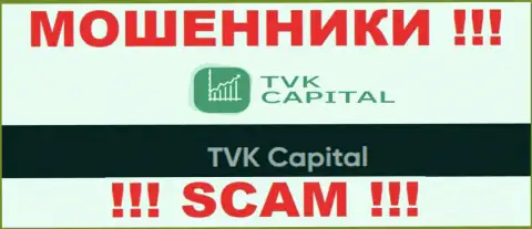 TVK Capital - это юр лицо интернет-ворюг TVK Capital
