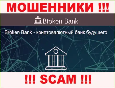 Осторожнее, сфера деятельности Btoken Bank, Инвестиции - это лохотрон !!!