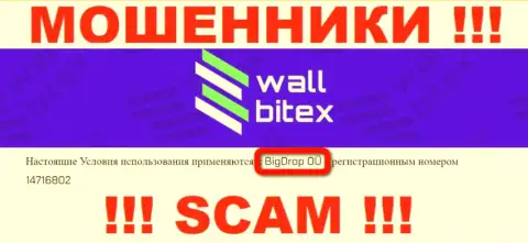 Wall Bitex - это ЛОХОТРОНЩИКИ !!! Руководит указанным разводняком BigDrop OÜ