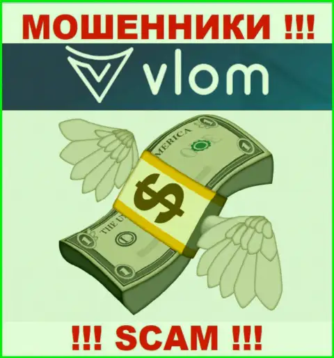 Компания Vlom Com работает только лишь на прием денежных активов, с ними Вы ничего не сумеете заработать