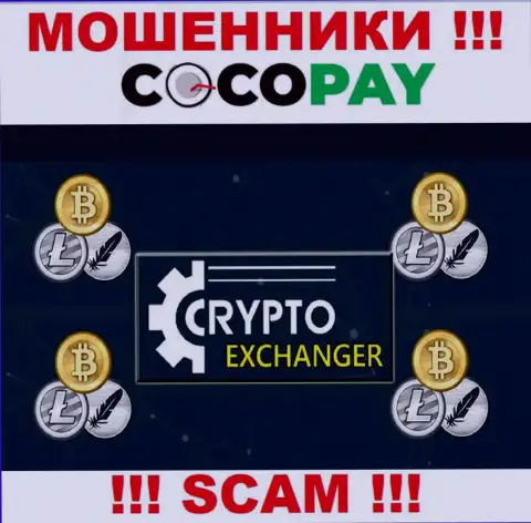 CocoPay - это наглые internet мошенники, направление деятельности которых - Internet обменник