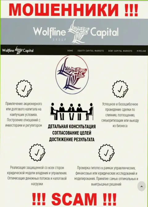 Не стоит верить, что сфера деятельности Wolfline Capital - Финансовый консалтинг легальна - это разводняк
