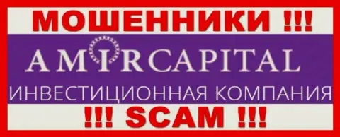 Логотип ЖУЛИКОВ Amir Capital