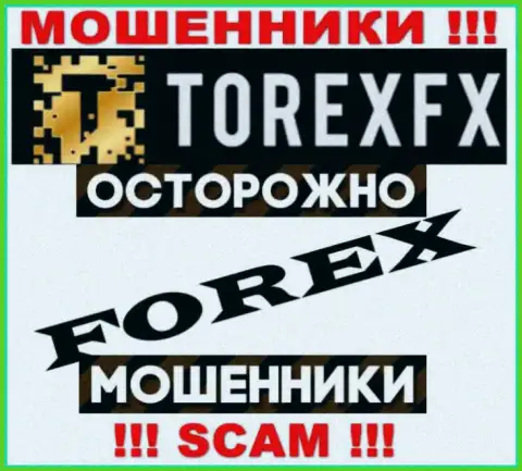 Тип деятельности TorexFX: Forex - хороший доход для мошенников